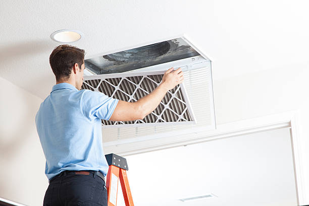 Best Solar-powered HVAC Systems in Hoschton, GA